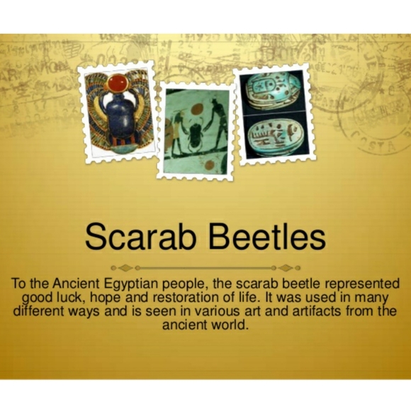 Scarab Amulet Pendant Necklace Rhodonite NWT - Picture 9 of 10